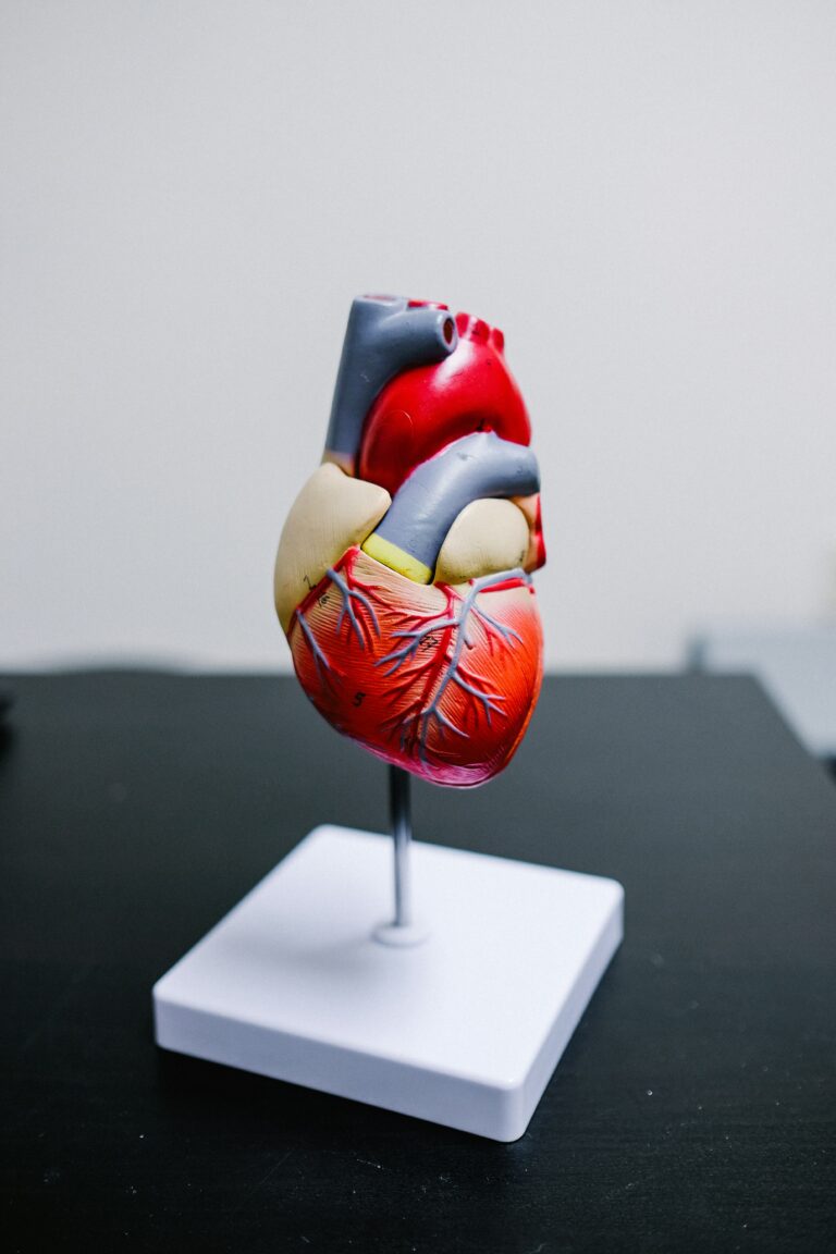 Best AI Tools for Cardiologists and Cardiac Care Specialists in 2026
